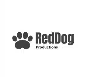 Professional real estate logo design
